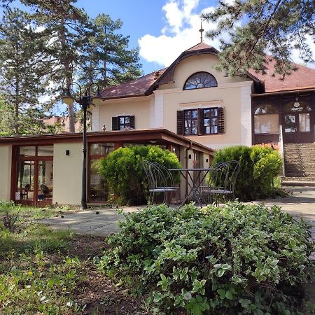 Hotel Imola Garden Vendeghaz Balatonfüred Exteriér fotografie